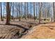Wooded backyard featuring a creek, mature trees, and offering a private and natural setting for outdoor enjoyment at 2802 Nettle Ln, Buford, GA 30519