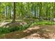 Serene backyard with mature trees, lush ferns, and a gentle slope, offering a peaceful retreat at 2802 Nettle Ln, Buford, GA 30519