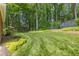 Lush green backyard with manicured lawn, mature trees, and offering a serene and private outdoor oasis at 2802 Nettle Ln, Buford, GA 30519