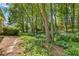 Serene backyard featuring stepping stones, lush foliage, and mature trees providing shade and privacy at 2802 Nettle Ln, Buford, GA 30519