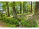 Picturesque backyard with a tranquil stream, lush ferns, and mature trees creating a serene setting at 2802 Nettle Ln, Buford, GA 30519