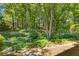Lush backyard featuring mature trees and lush landscaping, creating a tranquil and private retreat at 2802 Nettle Ln, Buford, GA 30519