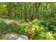 Natural backyard with lush greenery, a stream, and mature trees offering a tranquil setting at 2802 Nettle Ln, Buford, GA 30519