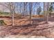View of a lush backyard with mature trees and greenery at 2033 Fosco Dr, Duluth, GA 30097