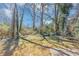 Backyard view of the home featuring mature trees at 4281 Welbron Dr, Decatur, GA 30035