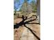 Stone pathway alongside house for easy access to a spacious, private backyard at 2184 E Cherokee Dr, Woodstock, GA 30188