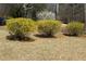 Beautifully landscaped yard with vibrant shrubs and mature trees, offering privacy and curb appeal at 2184 E Cherokee Dr, Woodstock, GA 30188