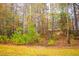 Natural backyard surrounded by deciduous trees and vegetation at 247 Brookview Dr, Riverdale, GA 30274