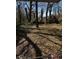 Large backyard features bare trees and ground cover at 2319 Browns Mill Se Rd, Atlanta, GA 30315