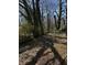 Overgrown backyard featuring mature trees and thick ground cover at 2319 Browns Mill Se Rd, Atlanta, GA 30315