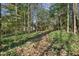 Backyard view of home through trees, showing natural landscaping at , Atlanta, GA 30329