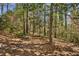 Backyard view of home through trees, showing natural landscaping at , Atlanta, GA 30329