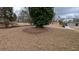 Spacious front yard with a mature tree, and lawn at 2689 Rollingwood Se Ln, Atlanta, GA 30316