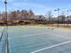 Well-maintained community tennis courts, perfect for recreational play and exercise at 3876 Elm Trace Ct, Loganville, GA 30052