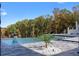 Beautiful infinity pool with lush trees in the background and a small palm tree at 4100 Oak Hill Rd, Douglasville, GA 30135