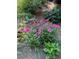 Beautiful flower garden with Coneflowers, Hostas, and ornamental grasses at 3504 Palace Ct, Tucker, GA 30084
