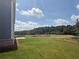 Spacious green backyard features a newly sodded lawn and a treeline in the distance at 3191 Morris Hills Dr, Dacula, GA 30019
