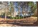 Serene backyard with lush greenery, mature trees, and a privacy fence, creating a peaceful and secluded outdoor space at 503 Stanford Pl, Woodstock, GA 30188