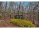 Overgrown wooded backyard with shed and yellow foliage at 5515 Punkintown Rd, Douglasville, GA 30135