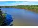 Scenic aerial view of a large lake surrounded by lush trees at 901 Blue Sky Rdg, Snellville, GA 30078