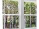 A bright, scenic view of lush greenery through a dual-pane window at 209 Groveton Ct, Euharlee, GA 30145