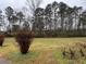 View of a green backyard with tall trees in the background at 291 Folsom Glade Rd, Rydal, GA 30171
