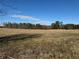 Large field with grasses and tree line against blue skies at 291 Folsom Glade Rd, Rydal, GA 30171