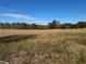 Large, open land with trees under a partly cloudy blue sky at 291 Folsom Glade Rd, Rydal, GA 30171