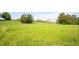 Picturesque expansive grassy field with scattered trees, ideal for building or recreation at 291 Folsom Glade Rd, Rydal, GA 30171
