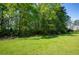 Lush green lawn and wooded area illustrating the property's natural beauty and privacy at 291 Folsom Glade Rd, Rydal, GA 30171