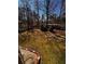 Spacious backyard featuring beautiful green grass and some trees for extra shade and privacy at 136 Hunters Ct, Dallas, GA 30157