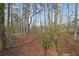 Wooded backyard with mature trees and lush greenery, offering a serene and private outdoor space at 3114 Superior Dr, Dacula, GA 30019