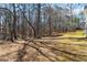 View of the property's wooded backyard at 250 Felton Dr, Fayetteville, GA 30214