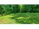 Expansive backyard featuring lush, green lawn and mature trees, perfect for outdoor activities and relaxation at 3879 Artist Vw, Decatur, GA 30034