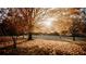 Scenic view of trees with golden foliage during autumn, casting a warm glow on the ground at 185 Marion # A, Atlanta, GA 30307