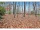 View of wooded backyard with ground covered in fallen leaves and a red fence in the distance at 357 Forest Lake Rd, Lawrenceville, GA 30046