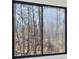 A view through a window of the beautiful wooded area outside at 4013 Brenteresa Ct, Snellville, GA 30039