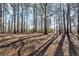 Wooded backyard at 50 Riverside Ct, Hampton, GA 30228