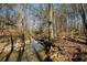 Scenic creek view with mature trees, a split rail fence, and sunlight reflections on the water at 2418 Caylor Hill Pte Nw, Kennesaw, GA 30152