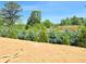 Expansive backyard shows new grass, privacy trees and a lot that backs up to mature trees at 650 Redhead Way (Lot 25), Grayson, GA 30017