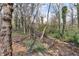 View of a creek with lush vegetation, offering a peaceful and private natural setting at 926 Natham Dr, Atlanta, GA 30315