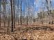 Uncultivated wooded area in the backyard with mature deciduous trees at 134 Jacobs Ln, Loganville, GA 30052