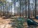 Outdoor view of the wooded property with natural elements and a glimpse of the house at 3150 Old Van Wert Rd, Villa Rica, GA 30180