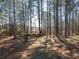 Outdoor shot of the wooded property with rocks and trees at 3150 Old Van Wert Rd, Villa Rica, GA 30180