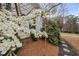 Close-up of white blossoms on a tree, siding, and landscaping features of a home at 4770 Hilltop Nw Dr, Acworth, GA 30101