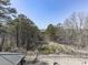 Backyard view from the balcony features lush green trees with a distant lake at 329 Lakebridge Xing, Canton, GA 30114