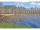 Scenic view of a tranquil pond surrounded by mature trees and greenery at 5690 Rutland Trce, Lithonia, GA 30058