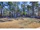 Large fenced backyard provides a private space for activities and recreation at 3280 Spincaster Way, Loganville, GA 30052