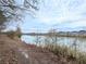 Scenic view of the tranquil pond surrounded by trees and foliage on a sunny day at 660 Redhead Way (Lot 24), Grayson, GA 30017