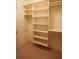 Spacious walk-in closet with adjustable shelving and ample storage at 184 Cadence Trl, Canton, GA 30115